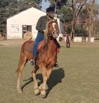 Mani Soul Star - Male escort in New Delhi