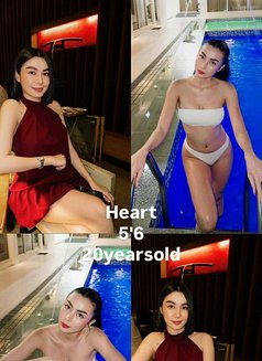 Manila Companion 4 - escort agency in Makati City Photo 29 of 30