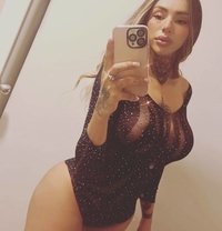 Manuelxo - Transsexual escort in Doha