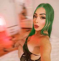 Maoly Trans Xl - Transsexual escort in Malta