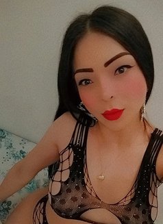 Maoly Trans Xl - Acompañantes transexual in Malta Photo 12 of 16