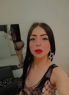 Maoly Trans Xl - Acompañantes transexual in Malta Photo 15 of 16