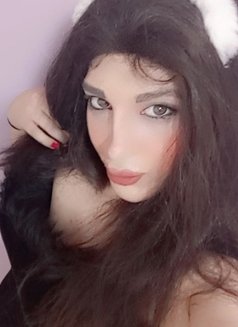 Maram Lady - Transsexual escort in Beirut Photo 1 of 3