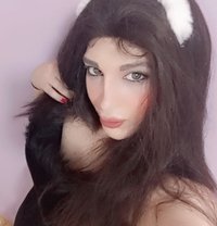 Maram Lady - Acompañantes transexual in Beirut