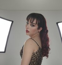 Maram Lady @ - Transsexual escort in Beirut