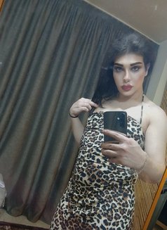Maram Lady @ - Transsexual escort in Beirut Photo 10 of 13