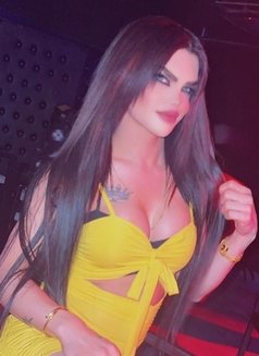 Diva in Erbil - Transsexual escort in Erbil Photo 6 of 8