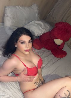 Maram Shemale - Transsexual escort in Beirut Photo 4 of 9