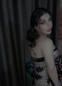 Maram Shemale - Transsexual escort in Beirut Photo 4 of 4