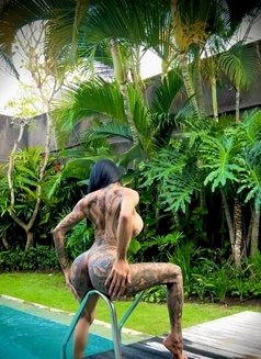 Marcella - Acompañantes transexual in Bali Photo 18 of 20