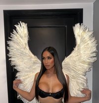 Marcia is Just Arrived - Transsexual escort in Taipei