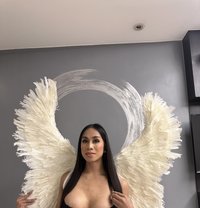Marcia is Just Arrived - Transsexual escort in Taipei