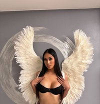 Marcia is Just Arrived - Transsexual escort in Taipei