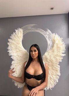 Marcia is Just Arrived - Transsexual escort in Taipei Photo 5 of 26