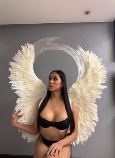 Marcia is Just Arrived - Transsexual escort in Taipei Photo 7 of 26