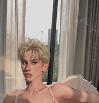 Marco Femboy Twink - Male escort in Bangkok