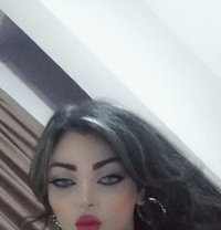 Mare - Transsexual escort in Beirut