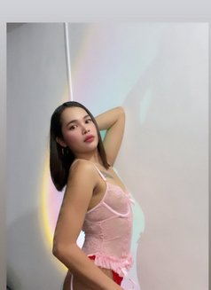 Marga - Acompañantes transexual in Manila Photo 18 of 23