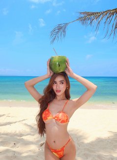 Margarita - Acompañantes transexual in Pyeongtaek Photo 5 of 10