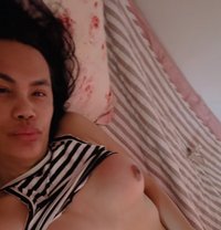 Margaux - Transsexual escort in Manila