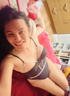 Margaux - Acompañantes transexual in Manila Photo 26 of 27