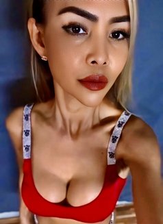 Margie spicy girl 🌶️ - escort in Bangkok Photo 8 of 8