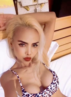 Margie spicy girl 🌶️ - puta in Bangkok Photo 7 of 7