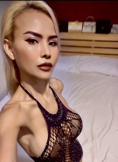 Margie spicy girl 🌶️ - puta in Bangkok Photo 19 of 21