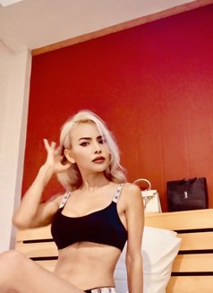 Margie spicy girl 🌶️ - puta in Bangkok Photo 20 of 21