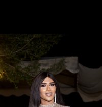 Margo - Transsexual escort in Beirut