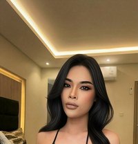 Misstres Slave With Popper gangbang - Acompañantes transexual in Khobar Photo 7 of 7