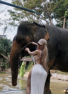 Maria Delanox - escort in Bangkok Photo 11 of 13