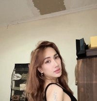 Maria Erika - Acompañantes transexual in Jakarta