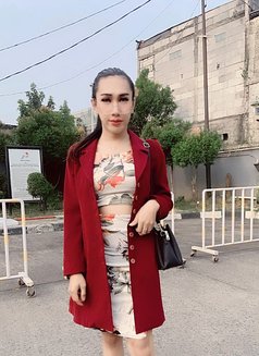 Maria Erika - Acompañantes transexual in Jakarta Photo 8 of 11