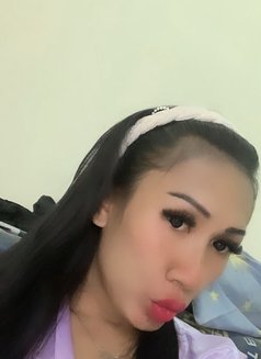Maria Erika - Acompañantes transexual in Jakarta Photo 10 of 11