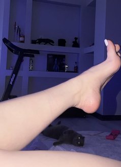 Maria - Transsexual escort in Beirut Photo 13 of 14