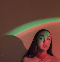 Maria - Dominadora transexual in Dubai