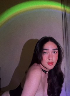 Maria - Dominadora transexual in Dubai Photo 4 of 4