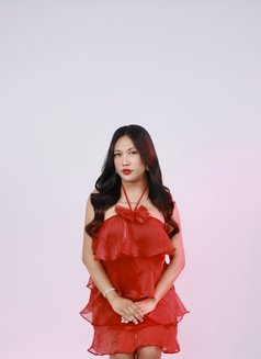 Maria Hard (MEET, CAMSHOW, CONTENT) - Transsexual escort in Taoyuan Photo 21 of 21