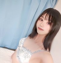 Maria - Transsexual escort in Tokyo