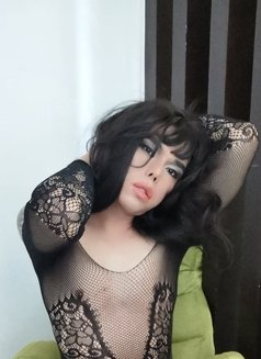 Maria (Just Arrived?) - Transsexual escort in Kuala Lumpur Photo 1 of 7