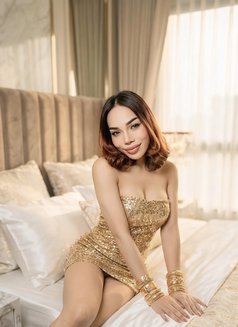 Maria Ladyboy Thailand - Transsexual escort in Al Manama Photo 17 of 19