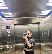 Maria - Transsexual escort in Abu Dhabi