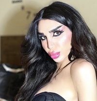 DIVA MARIA - Transsexual escort in Beirut