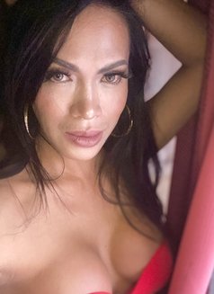 Maria Lilac - Acompañantes transexual in Manila Photo 6 of 8