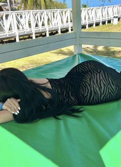 Maria New in dubai - escort in Dubai Photo 1 of 4
