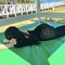Maria New in dubai - escort in Dubai Photo 1 of 4