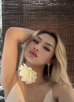 Maria Serbian - Transsexual escort in İstanbul Photo 18 of 19
