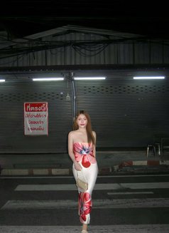 Maria - Transsexual escort in Hat Yai Photo 24 of 27