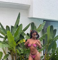 Maria Squirt Queen - escort in Bali Photo 1 of 1